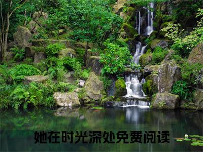 江淮序宋晚禾全本资源免费阅读结局无删节主角：她在时光深处小说全文阅读无弹窗
