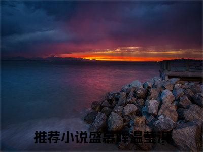盛慕晖温莹淇完整版（盛慕晖温莹淇小说）全文免费阅读无弹窗大结局_盛慕晖温莹淇最新章节（盛慕晖温莹淇全文）