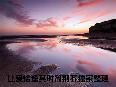 最火言情小说（让爱恰逢其时简荆芥）-老书虫良心推荐让爱恰逢其时简荆芥（让爱恰逢其时简荆芥）小说精彩免费试读