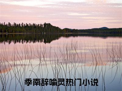 (番外)+(全文)如果你的遗憾也还在：全文+后续（季南辞喻灵）全文免费阅读无弹窗大结局_（季南辞喻灵全文+后续免费阅读全文大结局）最新章节列表