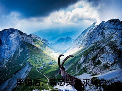 季封致袁初夏（离婚后，霸总哭着求复合/季封致袁初夏：结局+番外）全文免费阅读无弹窗大结局_(离婚后，霸总哭着求复合)最新章节列表_笔趣阁（季封致袁初夏/离婚后，霸总哭着求复合：结局+番外）