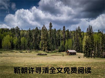靳朝许寻清（听心声，吃大瓜！真千金引爆豪门）全文免费阅读无弹窗大结局_靳朝许寻清全文免费阅读（听心声，吃大瓜！真千金引爆豪门）最新章节列表