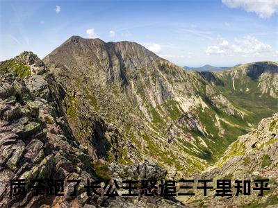 质子跑了长公主怒追三千里（司离封不郁）全文免费阅读无弹窗大结局_质子跑了长公主怒追三千里全文免费阅读无弹窗最新章节列表