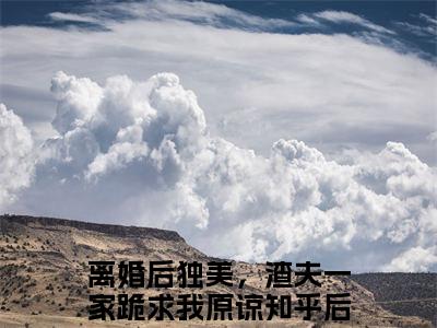 离婚后独美，渣夫一家跪求我原谅小说（林静文邱泽）全文免费阅读无弹窗_（林静文邱泽）离婚后独美，渣夫一家跪求我原谅最新章节列表
