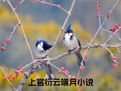 上官衍云端月全集小说完整版大结局_上官衍云端月完结版在线阅读