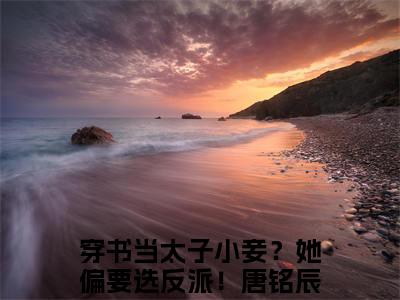 唐铭辰柳茹媚穿书当太子小妾？她偏要选反派！后续（穿书当太子小妾？她偏要选反派！）全文在线下载在线+纯净版结局
