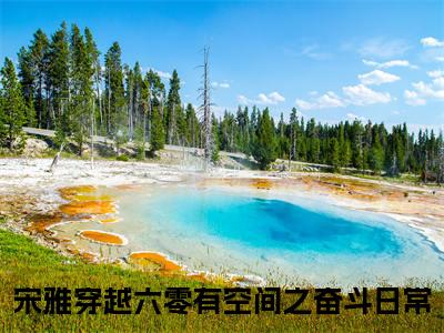 穿越六零有空间之奋斗日常宋雅小说章节目录+章节前文（宋雅）TXT清爽版在线