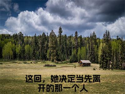 郑雯冬卫书郡小说(这回，她决定当先离开的那一个人)序章+全章阅读（郑雯冬卫书郡）最新章节