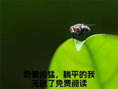 娇妻凶猛，躺平的我无敌了凌辰后续（凌辰）全篇在线阅读前传