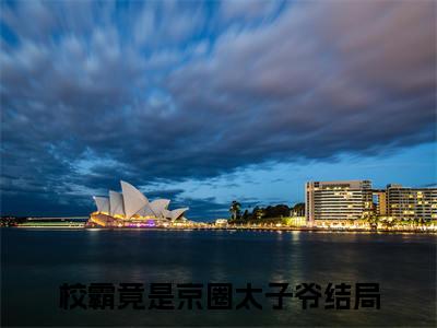 校霸竟是京圈太子爷封晚媞傅北尧彩蛋完整在线阅读（封晚媞傅北尧）最近章节列表