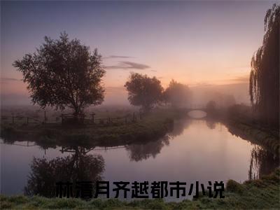 穿书七零，供糙汉老公上大学林清月齐越小说（林清月齐越）前传+全书阅读新作预览