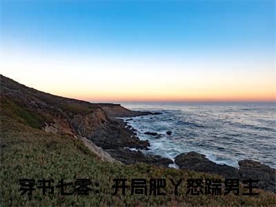 （穿书七零：开局肥丫怒踹男主）程明月陆沉穿书七零：开局肥丫怒踹男主延伸在线下载无广告章节清单