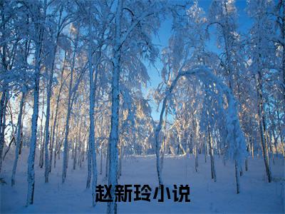 折枝寻春赵新玲小说无删减阅读清爽版（赵新玲）外篇+续集