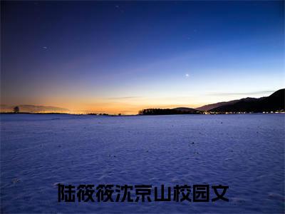 新章速递二嫁京圈首富，凤凰男彻底疯了小说小说结尾阅读无广告（陆筱筱沈京山）