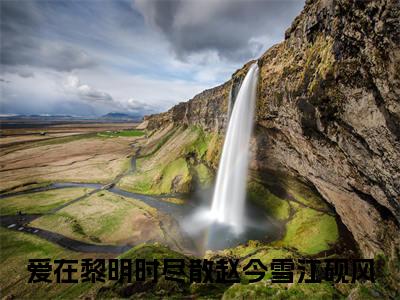 爱在黎明时尽散小说(爱在黎明时尽散)（赵今雪江砚风）前传+阅读全新作品预订