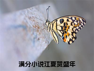 江夏贺盛年小说无删减+后续（缠夏吻）畅享阅读