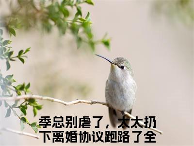 （书荒必看）季司宸桑榆晚小说TXT无套路阅读