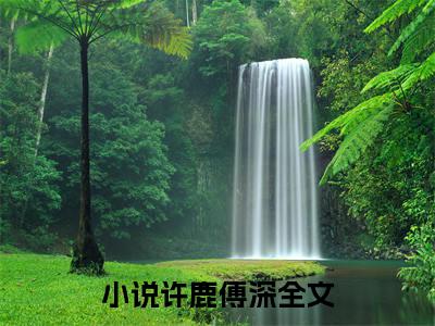 心似以灰之木（许鹿傅深）全文完整版免费阅读_心似以灰之木最新章节列表_笔趣阁（许鹿傅深）