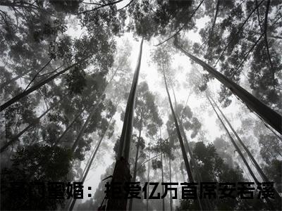 豪门蜜婚：拒爱亿万首席安若溪：结局+番外(豪门蜜婚：拒爱亿万首席安若溪：结局+番外小说)全文免费阅读无弹窗大结局_ 豪门蜜婚：拒爱亿万首席安若溪：结局+番外全文免费阅读小说豪门蜜婚：拒爱亿万首席安若溪：结局+番外全文免费阅读最新章节列表_笔趣阁（豪门蜜婚：拒爱亿万首席安若溪：结局+番外小说）