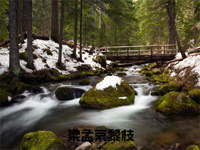 梁孟京黎枝（梁孟京黎枝）全文阅读完整版_梁孟京黎枝（梁孟京黎枝）小说免费阅读大结局无删减（梁孟京黎枝）