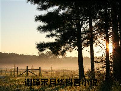穿成农家长姐，开局就养三个崽！小说最新试读_（谢锋宋月华免费阅读最新章节列表）_笔趣阁