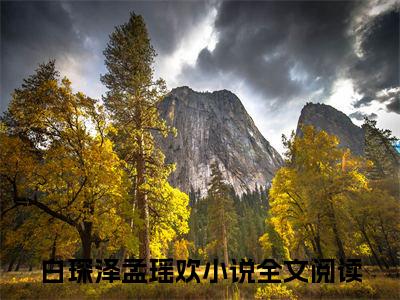 (番外)+(全文)白琛泽孟瑶欢：全文+后续（情深不兽遥相望）全文免费阅读无弹窗大结局_（情深不兽遥相望全文+后续免费阅读全文大结局）最新章节列表