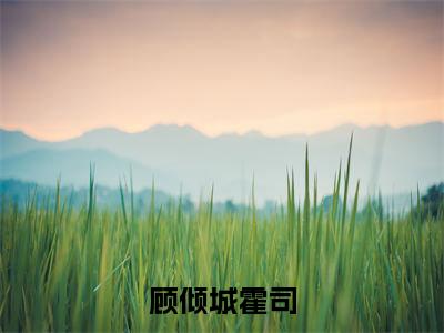 顾倾城霍司（嗜骨危情：霍少送妻容易追妻难/顾倾城霍司：结局+番外）全文免费阅读无弹窗大结局_(嗜骨危情：霍少送妻容易追妻难)最新章节列表_笔趣阁（顾倾城霍司/嗜骨危情：霍少送妻容易追妻难：结局+番外）