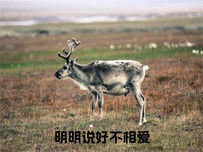 明明说好不相爱txt（叶落纪霆深）全文免费阅读无弹窗大结局_明明说好不相爱最新章节列表_笔趣阁（叶落纪霆深）