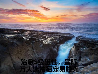 治愈S级雄性，星际万人迷被疯宠易晚（治愈S级雄性，星际万人迷被疯宠易晚）全文小说完整版-（治愈S级雄性，星际万人迷被疯宠易晚）治愈S级雄性，星际万人迷被疯宠易晚全文无删减免费阅读