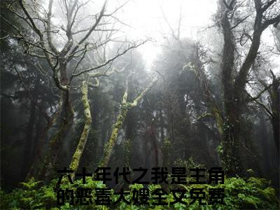 黄勤勤徐军辉：全文+后续+结局（六十年代之我是主角的恶毒大嫂）最新章节列表_黄勤勤徐军辉（六十年代之我是主角的恶毒大嫂）全文+后续+结局在线阅读