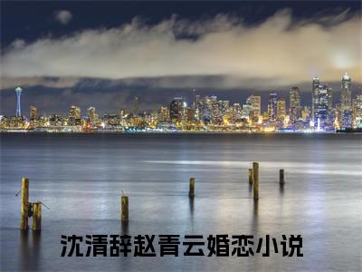 沈清辞赵青云(沈清辞赵青云：结局+番外)全文免费阅读无弹窗大结局_(沈清辞赵青云)最新章节列表_笔趣阁(沈清辞赵青云：结局+番外)