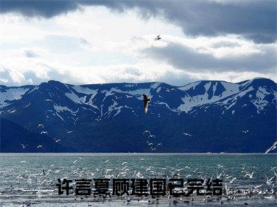 许言夏顾建国小说（许言夏顾建国）完整版大结局-许言夏顾建国小说完结版在线阅读