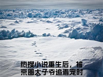 重生后，被京圈太子爷追着宠时落葵（重生后，被京圈太子爷追着宠时落葵：全文+结局+番外）全文免费阅读无弹窗大结局_(重生后，被京圈太子爷追着宠时落葵)最新章节列表_笔趣阁（重生后，被京圈太子爷追着宠时落葵：全文+结局+番外）