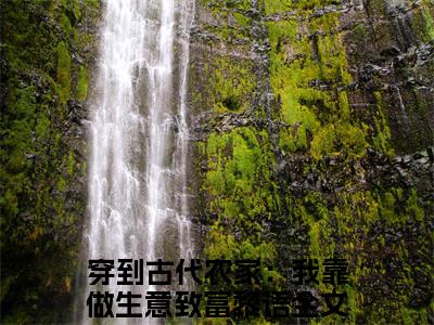 穿到古代农家：我靠做生意致富黎语小说在线阅读(穿到古代农家：我靠做生意致富黎语)_穿到古代农家：我靠做生意致富黎语小说最新章节