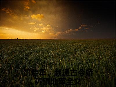 饥荒年，我通古今娇养镇北军小说完本(饥荒年，我通古今娇养镇北军)（陆宴楚清音）前传+整本阅读全新作品预订
