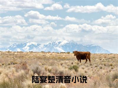 饥荒年，我通古今娇养镇北军（陆宴楚清音）全文免费阅读无弹窗大结局_（饥荒年，我通古今娇养镇北军）陆宴楚清音最新章节列表_笔趣阁