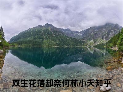 双生花落却奈何林小夭(双生花落却奈何林小夭)全文免费阅读无弹窗大结局_(双生花落却奈何林小夭)小说免费阅读最新章节列表