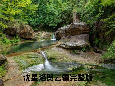 沈星洛贺云霆（医妃不想负责禁欲王爷诱她生崽）全文免费阅读无弹窗大结局_（沈星洛贺云霆）医妃不想负责禁欲王爷诱她生崽最新章节列表_笔趣阁