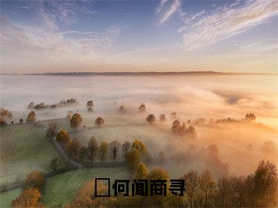 完结文甜哭！全网都在嗑我们的cp！前文最新章节列表_完结文甜哭！全网都在嗑我们的cp！前文全文免费阅读（何闻商寻）