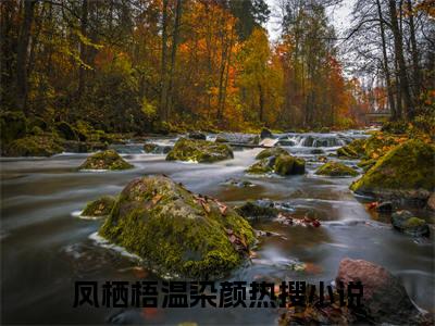 嫁给病娇权臣后，娇娇每天哭唧唧（凤栖梧温染颜/嫁给病娇权臣后，娇娇每天哭唧唧：结局+番外）全文免费阅读无弹窗大结局_(凤栖梧温染颜)最新章节列表_笔趣阁（嫁给病娇权臣后，娇娇每天哭唧唧/凤栖梧温染颜：结局+番外）