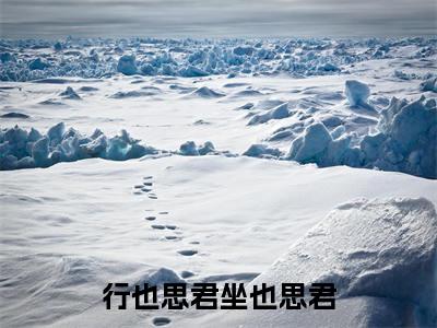 苏然姜绾歌（行也思君坐也思君）全文免费阅读无弹窗大结局_（苏然姜绾歌阅读全文大结局）行也思君坐也思君最新章节列表