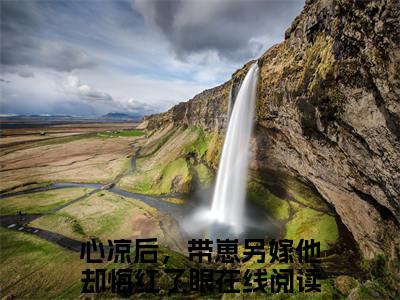 （书荒必看）心凉后，带崽另嫁他却悔红了眼小说TXT无套路阅读