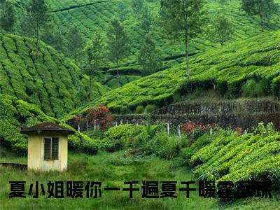 夏小姐暖你一千遍全文免费阅读无弹窗大结局（夏千暖霍彦琛）_夏小姐暖你一千遍最新章节列表_笔趣阁（夏千暖霍彦琛）