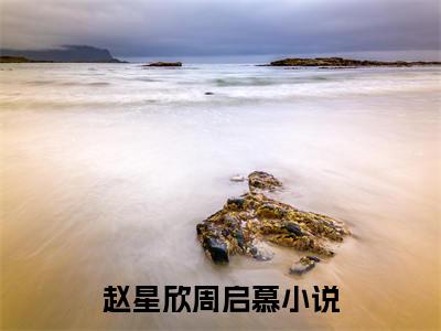赵星欣周启慕（赵星欣周启慕）全文免费阅读无弹窗_赵星欣周启慕小说_笔趣阁