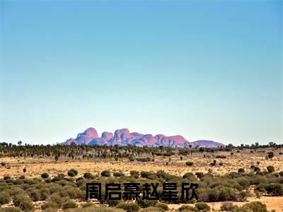 周启慕赵星欣小说（周启慕赵星欣）全文免费阅读无弹窗大结局_周启慕赵星欣小说最新章节列表_笔趣阁（周启慕赵星欣）