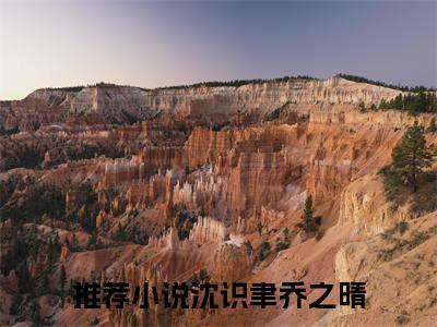 (番外)+(全文)沈识聿乔之晴（沈识聿乔之晴：结局+番外）全文免费阅读无弹窗大结局_沈识聿乔之晴最新章节列表_笔趣阁（沈识聿乔之晴：结局+番外）