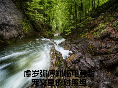 (番外)+(全文)虞岁弥傅知临（电竞甜宠文里的对照组）完结阅读无弹窗大结局_(电竞甜宠文里的对照组)最新章节列表_笔趣阁（虞岁弥傅知临）