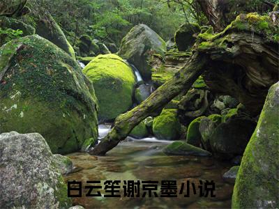 白云笙谢京墨小说(白云笙谢京墨)（白云笙谢京墨）全书+后续+结局在线阅读