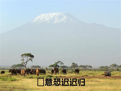 意恐迟迟归：结局+番外（意恐迟迟归）免费热荐最新全章节阅读_意恐迟迟归：结局+番外小说大结局免费阅读（意恐迟迟归）