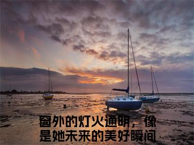 窗外的灯火通明，像是她未来的美好瞬间小说(顾昕静江明博)（窗外的灯火通明，像是她未来的美好瞬间）完整章节列表_笔趣阁